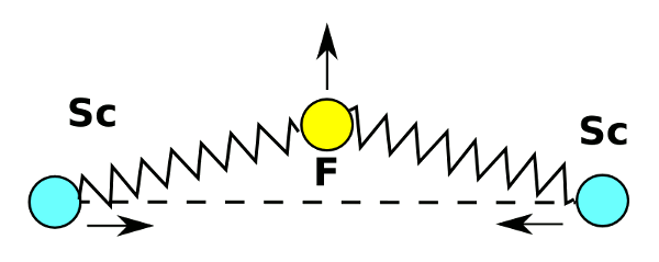 Principle of negative thermal expansion in scandium fluoride