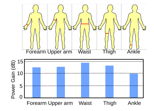 Power gain of RF reception for coils arranged on the human body.